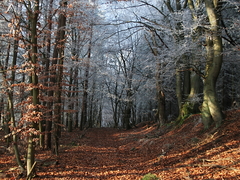 Killikus&reg; Fotographie